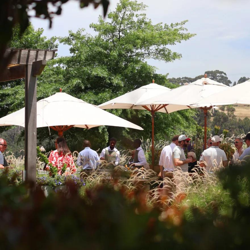 The Vine Bistro