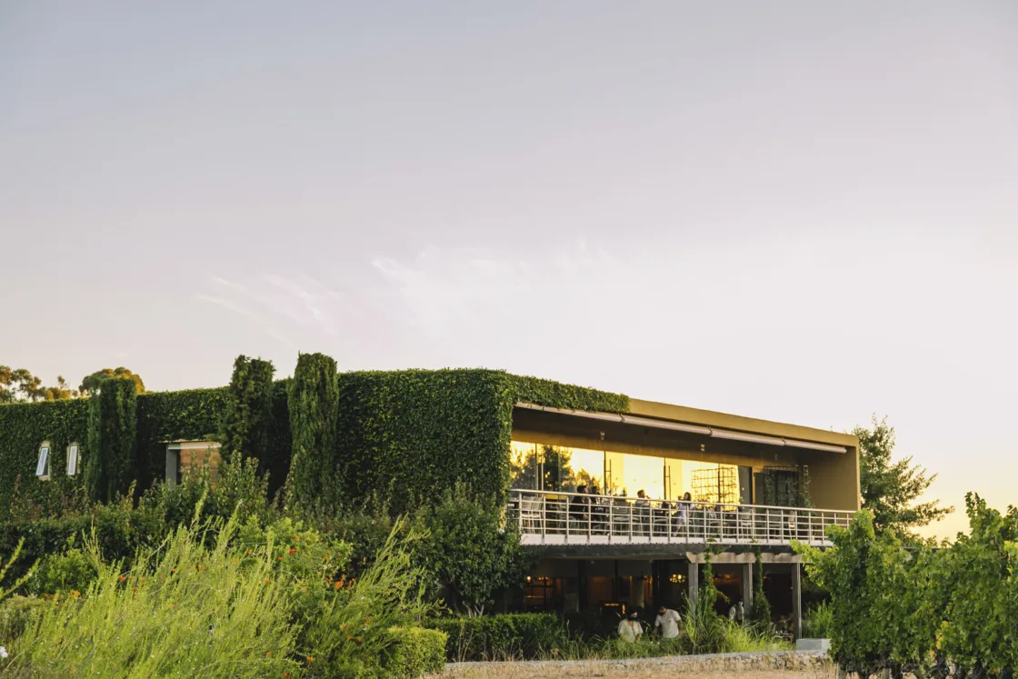 The Vine Bistro