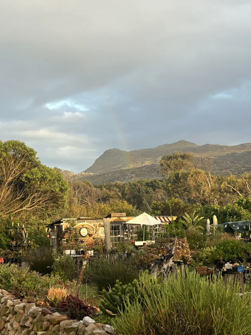 The Scone Shack