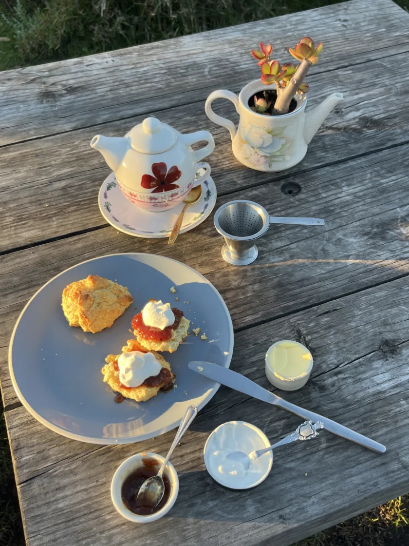 The Scone Shack