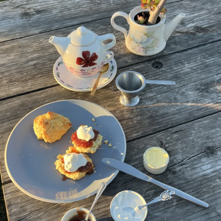 The Scone Shack