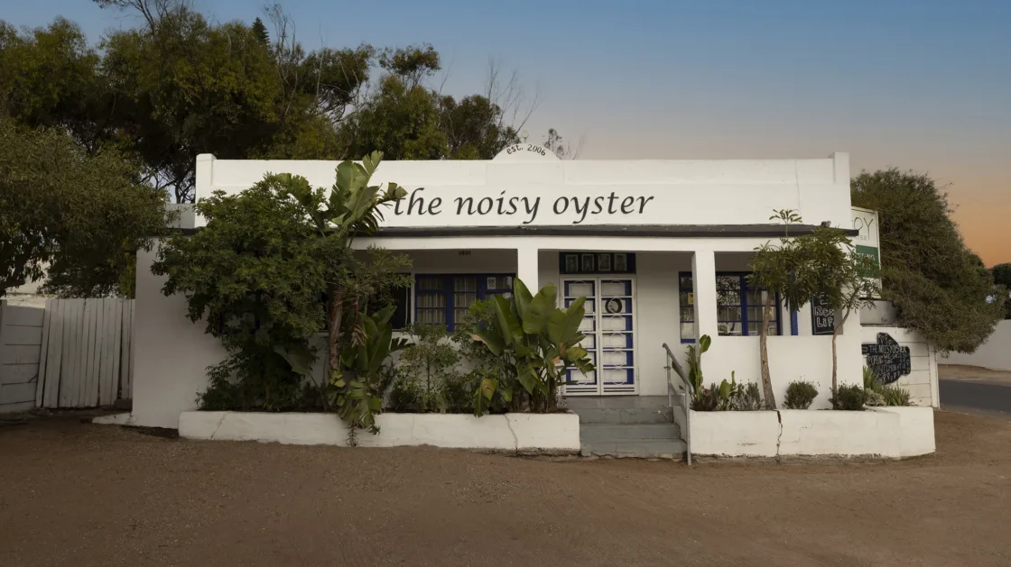 The Noisy Oyster