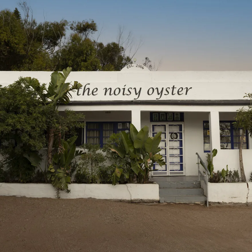The Noisy Oyster
