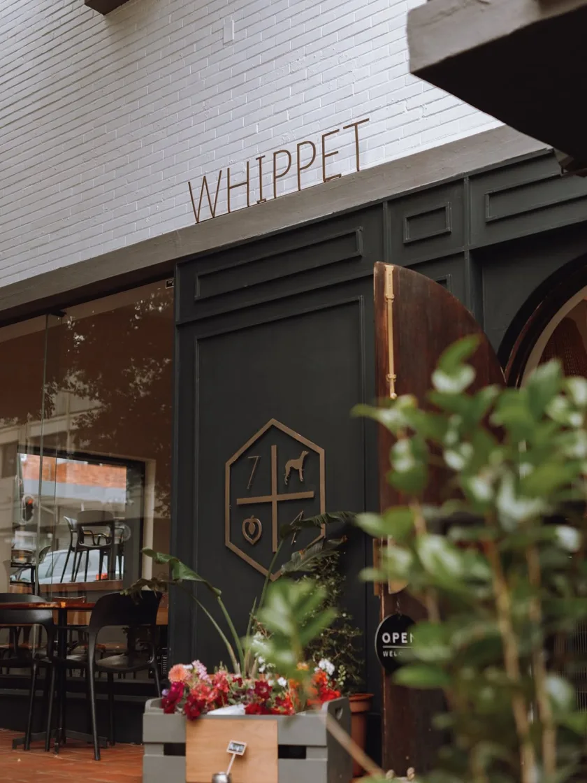 The Whippet in Linden