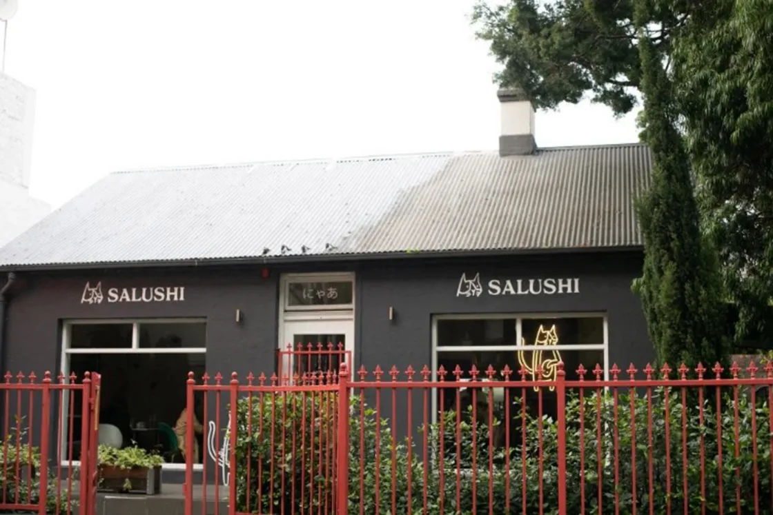 Salushi