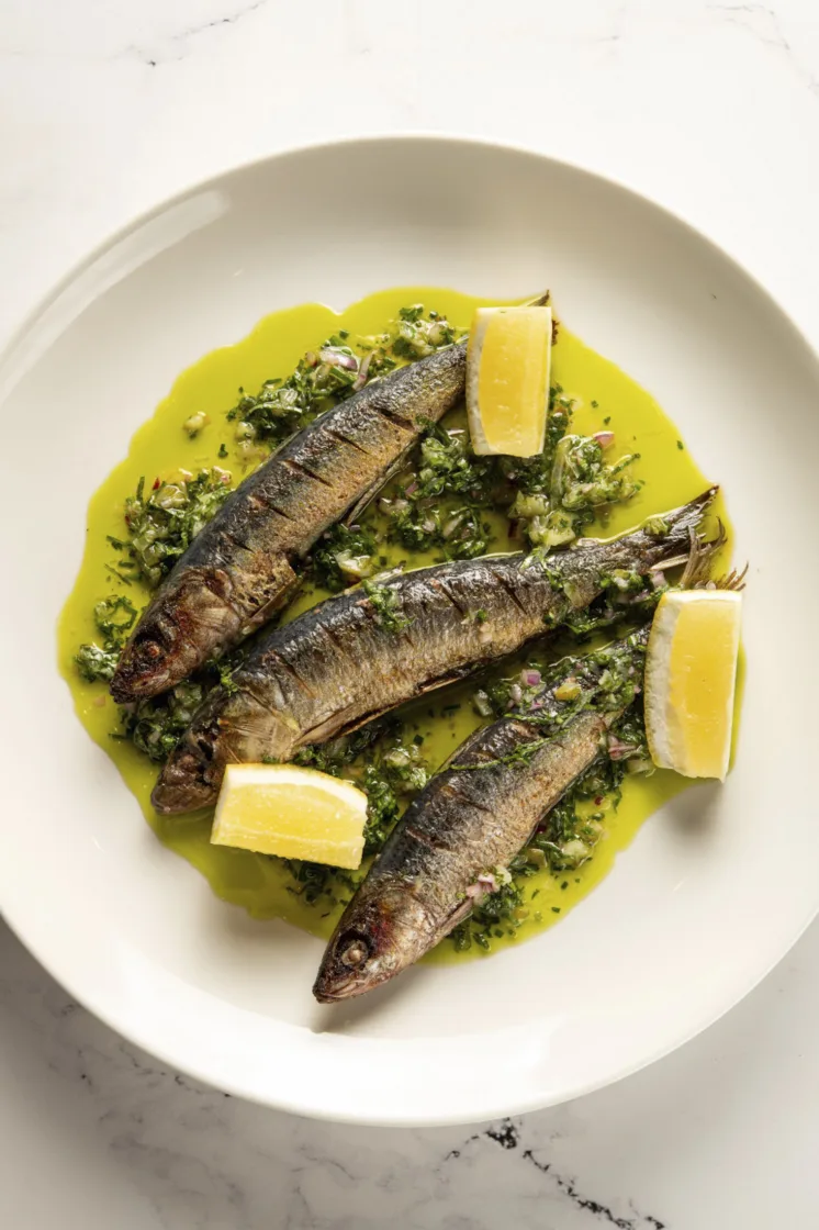 Ostra Mediterranean